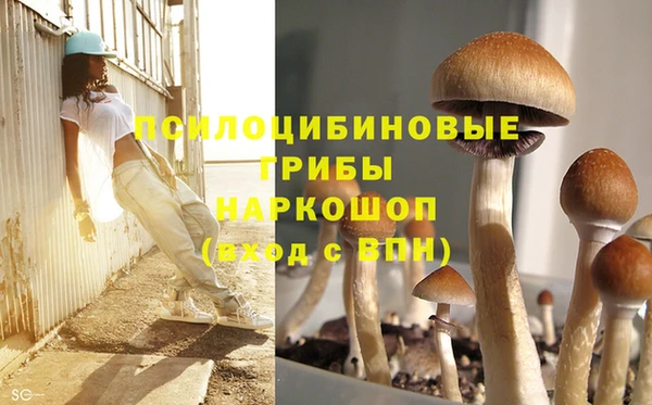 марки lsd Мегион