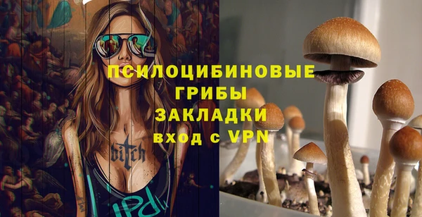 ГАЛЛЮЦИНОГЕННЫЕ ГРИБЫ Медвежьегорск