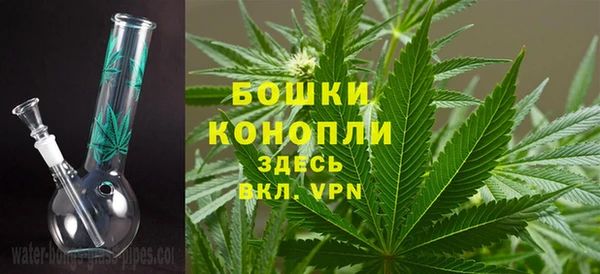 ГАЛЛЮЦИНОГЕННЫЕ ГРИБЫ Медвежьегорск
