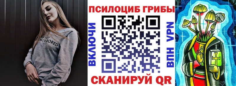 купить наркотик  Алейск  Псилоцибиновые грибы мухоморы 